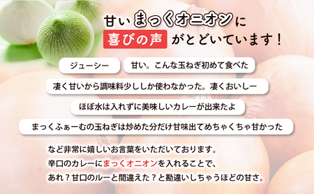 2026年秋発送 梨同等の甘さ！ジューシーで甘い玉ねぎ Lサイズ  約20kg まっくオニオン 玉ねぎ 北海道 富良野 野菜 玉葱 タマネギ