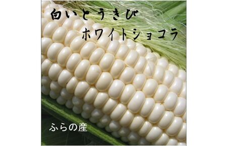 2025年夏発送【数量・期間限定】一足早く7月前半出荷予定 ふらの産 ホワイトとうきび10本［2L］ホワイトショコラ 富良野 北海道  とうもろこし 甘い 白 野菜 果物 朝採り