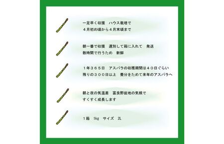 2025年春発送 ふらの産 グリーンアスパラ1kg［2Lサイズ］ハウス栽培 富良野 北海道 野菜 アスパラ 朝採り アスパラガス