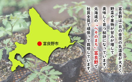【2026年夏発送】ふらの ミニトマト 1kg(品種:ラブリーさくら)北海道 富良野市 野菜 新鮮 直送 トマト 道産 ふらの 送料無料 数量限定 先着順