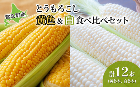 2025年先行受付 とうもろこし 食べ比べ 富良野産とうもろこし 黄6本・白6本セット 北海道 富良野 ふらの コーン とうきび トウモロコシ ホワイトコーン 野菜 甘い