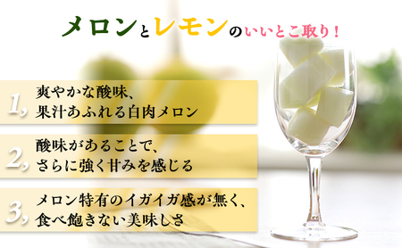 希少！数量限定先行予約 2026年発送】 レモンメロン 2Lサイズ 1玉