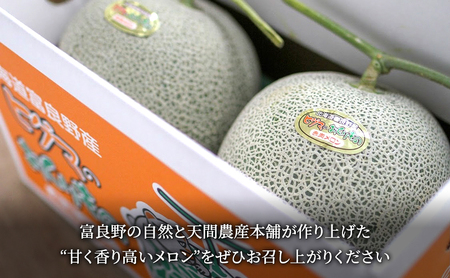 【2026年夏発送】富良野産 ヒグマのおくりもの(メロン)[2玉 計3.2kg以上] フルーツ 果物