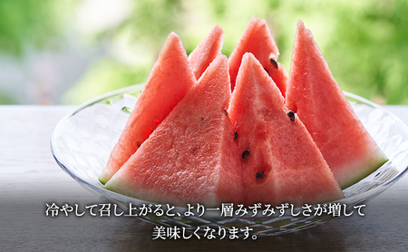 2026年夏発送】富良野産 ヒグマのごちそう(すいか)[1玉 5L以上 9kg以上