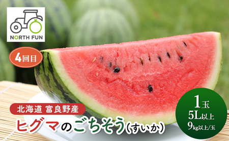 【2026年春から全4回】北海道富良野市の自慢の野菜＆果物を春から贅沢に味わい尽くす！NORTH FUN が贈る感動定期便