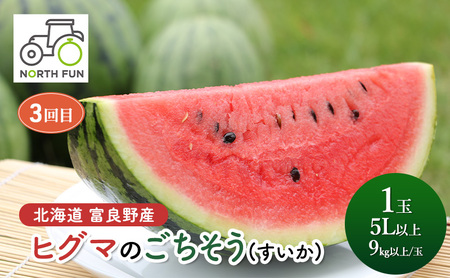 【夏から全3回】北海道富良野市の新鮮で甘い！！とうもろこし・メロン・スイカを味わい尽くす！NORTH FUN が贈る感動定期便