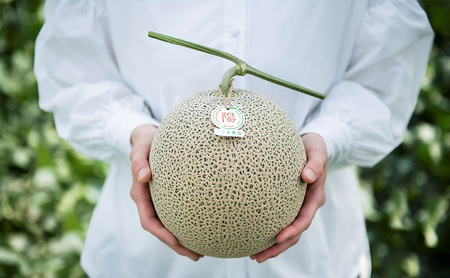 【2026年7月より順次発送】ふらのメロン「陽 ～HARU～」 赤肉＆青肉 食べ比べセット（各1玉 合計2玉：4kg以上）