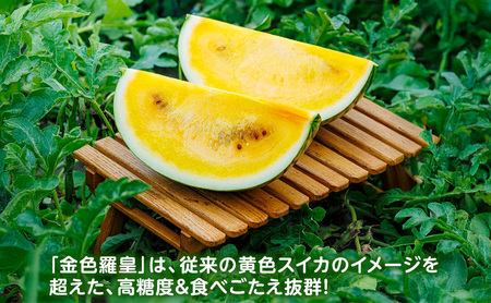北海道 富良野産 西瓜 スイカ 金色羅皇M2玉 計10kg超 正品 先行予約 富良野産 大玉 スイカ 金色羅皇 2L 7kg 以上×1玉 令和7