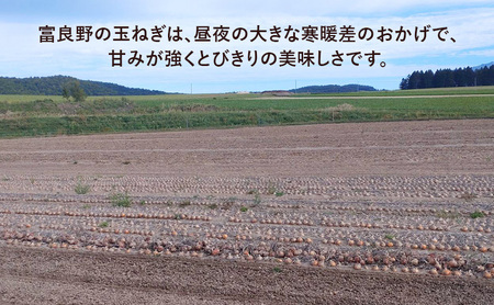 【2026年先行受付】［3か月定期便］富良野産 黄色 玉ねぎ 約20kg（約75～80玉） M～2Lサイズ　野菜 新鮮 直送 黄玉ねぎ 玉葱 玉ネギ 道産 北海道 富良野市 ふらの 幕田農園