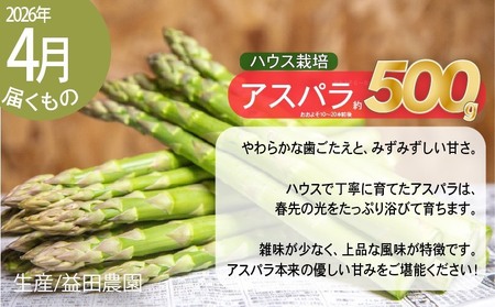 【2026年春発送】富良野産 アスパラ 食べ比べ 全2回定期便 アスパラ ハウス栽培 露地栽培 北海道 富良野市 緑アスパラ 野菜 とれたて 朝採り 食べくらべ 定期便 数量限定