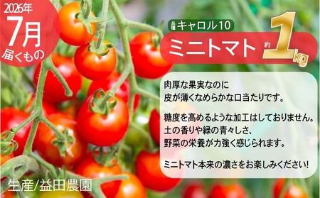 【2026年発送】全5回 富良野 専門農家が選ぶ 旬の贅沢 定期便 北海道 富良野市 老節布 野菜 アスパラ ハウス 露地 ミニトマト とうもろこし スイートコーン 玉ねぎ たまねぎ 玉葱 甘い