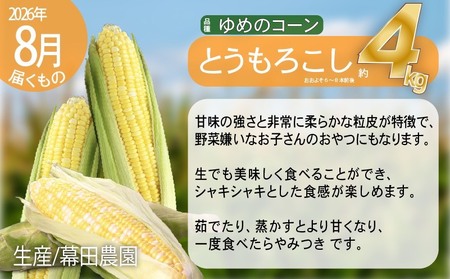 【2026年発送】全5回 富良野 専門農家が選ぶ 旬の贅沢 定期便 北海道 富良野市 老節布 野菜 アスパラ ハウス 露地 ミニトマト とうもろこし スイートコーン 玉ねぎ たまねぎ 玉葱 甘い