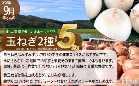【2026年発送】全5回 富良野 専門農家が選ぶ 旬の贅沢 定期便 北海道 富良野市 老節布 野菜 アスパラ ハウス 露地 ミニトマト とうもろこし スイートコーン 玉ねぎ たまねぎ 玉葱 甘い