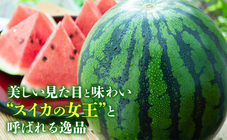 【2026年8月発送】ふらの山部の超大玉絶品 スイカ『マドンナスイカ』 3L～4L 1玉(坂口農産)