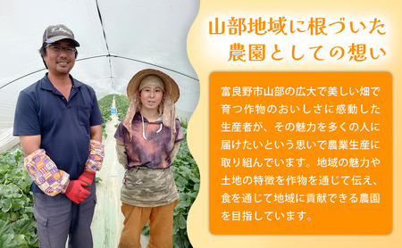 【春野菜 鮮度抜群 】富良野産 アスパラガス サイズ無選別 S~2L混合 1.5kg×1箱|北海道富良野市 4~5月上旬発送 シャキシャキ食感 贅沢 ギフト プレゼント アスパラ グリーンアスパラ 料理用 春季限定