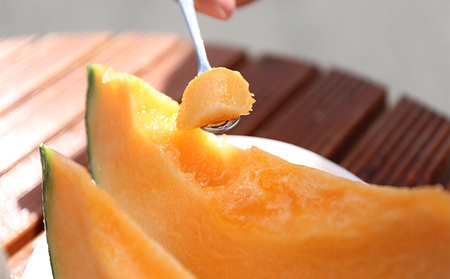 【ふるなびWEEK対象】[2026年6月下旬～発送]富良野メロン『NORTH PREMIUM』1玉 約2kg以上 ( NORTH FUN 北海道 ふらの メロン フルーツ 果物 新鮮 甘い 贈り物 ギフト 道産 ジューシー おやつ ふらの ブランド 夏 ) FN-Limited-WE