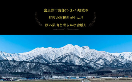 【ふるなびWEEK対象】[2026年6月下旬～発送]富良野メロン『NORTH PREMIUM』1玉 約2kg以上 ( NORTH FUN 北海道 ふらの メロン フルーツ 果物 新鮮 甘い 贈り物 ギフト 道産 ジューシー おやつ ふらの ブランド 夏 ) FN-Limited-WE