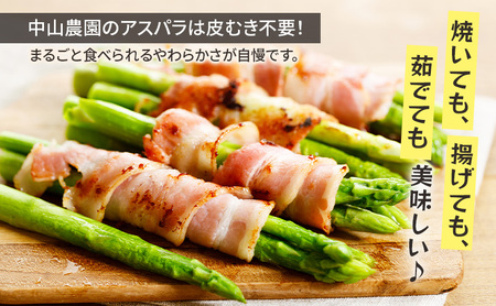 【2026年春発送】富良野産 アスパラ 約1kg 標準 (M～Lサイズ混合)中山農園 アスパラガス 野菜