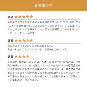 【12月限定特別価格★】ふらの山部の絶品 メロン『鳳凰』 2L 2玉 計3.6kg以上 [2026年6月より出荷]
