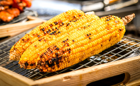 【2026年先行受付】富良野産 とうもろこし ゴールドラッシュ 約20本 コーン とうきび トウモロコシ 2Lサイズ 野菜 甘い BBQ 北海道 富良野 ふらの