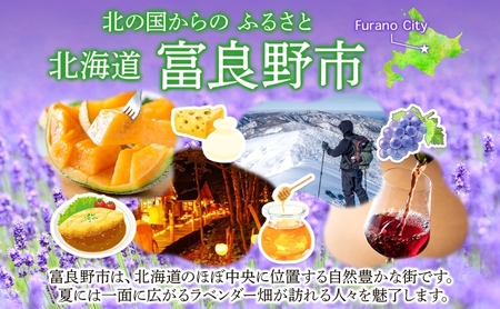 【2026年発送】ふらの たまねぎ 約10kg 小粒 Sサイズ ( 北海道 富良野市 野菜 新鮮 直送 玉ねぎ 道産 ふらの 送料無料 数量限定 )