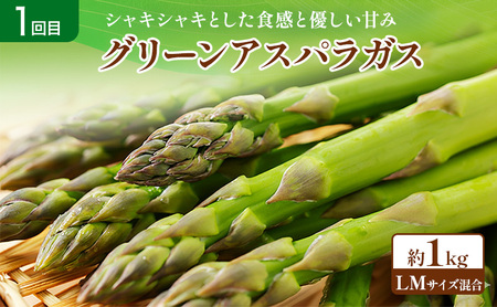 【2026年春～秋発送】定期便 3ヵ月 初夏の彩り満喫 野菜セット 全3回 （ 野菜 新鮮 直送 アスパラ とうもろこし じゃがいも 男爵 道産 ふらの 送料無料 数量限定 北海道 富良野市 ）