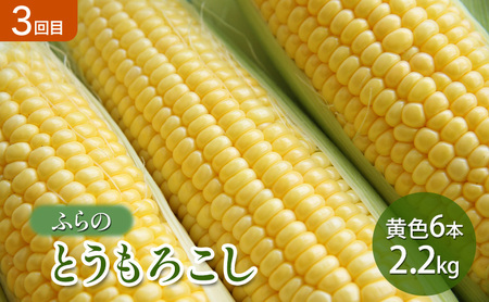 【2026年春～夏発送】[年3回定期便] 新鮮な旬の味覚 爽風の旬めぐり便 3農家コラボ 定期便 (アスパラガス 赤肉メロン とうもろこし 北海道 富良野市 野菜 果物 フルーツ 中山農園 NORTH FUN 富良野青果センター )
