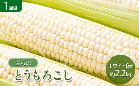 【2026年夏～秋発送】 定期便 3ヵ月 旬を味わう 基本野菜セット 全3回（ 野菜 新鮮 直送 とうもろこし じゃがいも 男爵 玉ねぎ 道産 ふらの 送料無料 数量限定 先着順 富良野市 ）