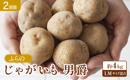 【2026年夏～秋発送】 定期便 3ヵ月 旬を味わう 基本野菜セット 全3回（ 野菜 新鮮 直送 とうもろこし じゃがいも 男爵 玉ねぎ 道産 ふらの 送料無料 数量限定 先着順 富良野市 ）