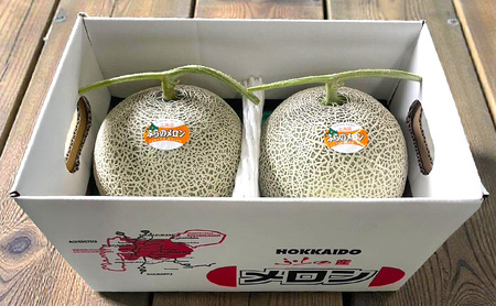 【2026年発送】 富良野メロン 赤肉 2玉入(約4kg以上) メロン ふらのメロン フルーツ 果物 くだもの 美味しい 甘い ギフト プレゼント 北海道 富良野市