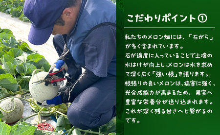 【2026年発送】 富良野メロン 赤肉 2玉入(約4kg以上) メロン ふらのメロン フルーツ 果物 くだもの 美味しい 甘い ギフト プレゼント 北海道 富良野市