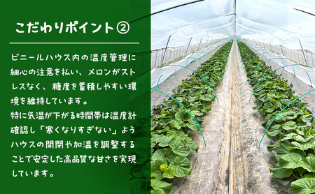 【2026年発送】 富良野メロン 赤肉 2玉入(約4kg以上) メロン ふらのメロン フルーツ 果物 くだもの 美味しい 甘い ギフト プレゼント 北海道 富良野市
