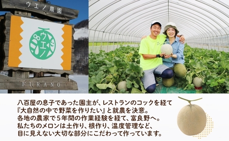 ＜2026年発送 先行受付＞ふらの産 しあわせのメロン 赤肉 大玉 2玉 計4kg メロン 富良野メロン 赤肉メロン 果物 フルーツ 甘い デザート ギフト 贈答 送料無料 ウエノ農園 北海道 富良野市