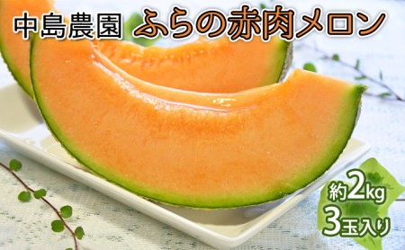 【2026年7月～発送】北海道 富良野市 ふらの赤肉 メロン 3玉 計 約6kg (中島農園) メロン フルーツ 果物 新鮮 甘い 贈り物 ギフト 道産 ジューシー おやつ ふらの ブランド 夏 