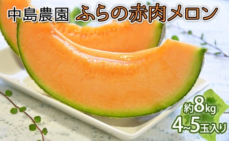 【2026年7月～発送】北海道 富良野市 ふらの赤肉 メロン 4～5玉入り 計 約8kg (中島農園) メロン フルーツ 果物 新鮮 甘い 贈り物 ギフト 道産 ジューシー おやつ ふらの ブランド 夏