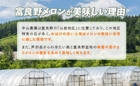 【2025年夏発送】北海道 富良野産 赤肉メロン 1玉 大玉サイズ (中山農園) メロン フルーツ 果物 新鮮 甘い 贈り物 ギフト 道産 ジューシー おやつ ふらの ブランド 夏 