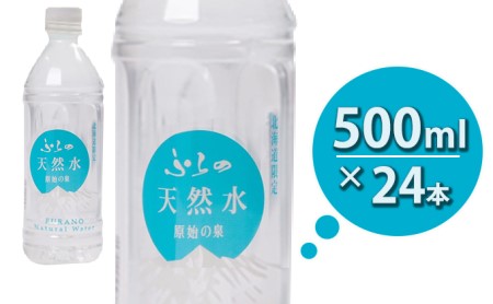 ふらの天然水【原始の泉】500ml×24本入 (水 新鮮 便利 天然 ペットボトル 北海道 送料無料 道産 富良野市 ふらの)