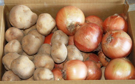 【2025年秋発送】北海道 富良野産 じゃがいも(男爵)＆玉ねぎ セット10kg 野菜 いも