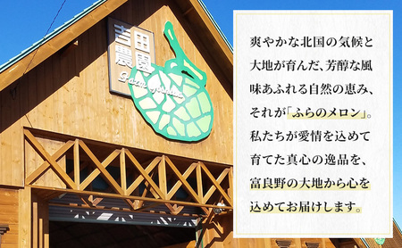 【2026年8月下旬より発送】北海道 富良野 メロン 赤肉 2玉 計約3.6kg メロン フルーツ 果物 新鮮 甘い 贈り物 ギフト 道産 ジューシー おやつ ふらの ブランド 夏  (吉田農園)