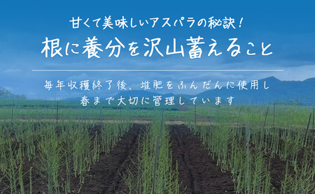 ［武田農園とれたて直送］グリーンアスパラ M～2L 混合 1kg やわらかくて抜群にあまい！北海道 富良野産 (アスパラガス アスパラ 野菜 新鮮 産地直送 先行予約 限定)