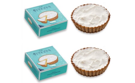 ≪6ヶ月定期便≫ふらの雪どけチーズケーキ6か月堪能コース (お菓子 スイーツ デザート ケーキ お祝い おやつ 贈り物 ギフト 甘い 手作り 北海道 送料無料 道産 富良野 ふらの 人気)