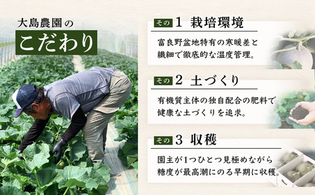 『大島農園』【特秀】ふらのメロン 1.8kg以上 赤肉2玉 北海道富良野市