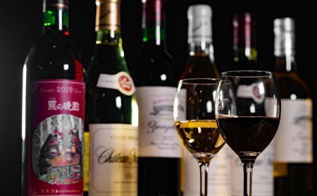 ふらのワイン　スペシャル（赤・白）6本セット (お酒 酒 ワイン ぶどう 飲み物 アルコール 北海道 送料無料 道産 富良野市 ふらの)