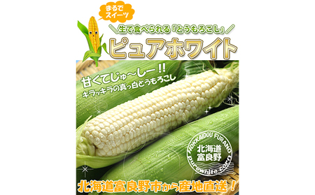 【2025年8月～発送】とうもろこし ピュアホワイト 10本 L～2Lサイズ 北海道 富良野産 生で食べられる  (スイートベジタブルファクトリー) とうもろこし とうきび コーン 野菜 新鮮 甘い ジューシー 贈り物 ギフト 道産 直送 ふらの