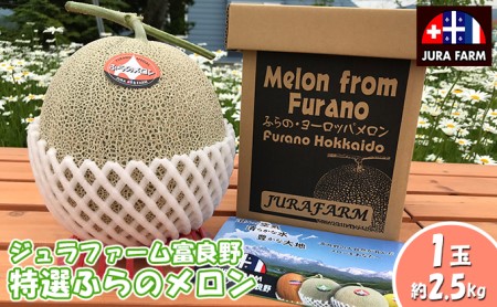 【2026年6月下旬～発送】特選 ふらの メロン 1玉 約2.5kg 北海道 富良野市 赤肉メロン (ジュラファーム富良野) メロン フルーツ 果物 新鮮 甘い 贈り物 ギフト 道産 ジューシー おやつ ふらの ブランド 夏
