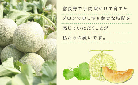 【2025年6月下旬～発送】ふらの 赤肉 メロン 2玉入 約1.7kg～2kg 北海道 富良野市 (相馬農園) メロン フルーツ 果物 新鮮 甘い 贈り物 ギフト 道産 ジューシー おやつ ふらの ブランド 夏 