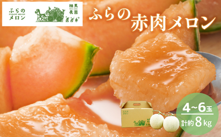 【2026年6月発送】ふらの 赤肉メロン 4～6玉入 計約8kg (相馬農園) メロン フルーツ 果物 6,750円