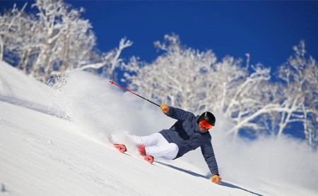 富良野スキー場　シーズン リフト1日券（2枚）(チケット スキー ボード スノーボード 体験 入場 券 旅行 トラベル リゾート 自然 アウトドア 北海道 富良野市 ふらの)