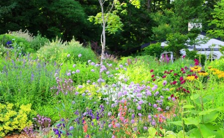 『風のガーデン』 2名様入場券  (チケット 体験 入場 券 旅行 トラベル リゾート 北海道 富良野市 ふらの)