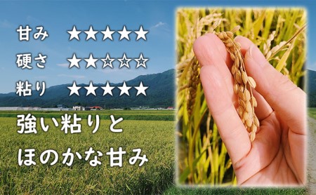 【令和7年度】北海道 富良野産 おぼろづき 減農薬 10kg 米 (山本農園) お米 ご飯 ごはん 白米 定期 送料無料 北海道 富良野市 道産 直送 ふらの